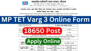 MP TET Varg 3 Online Form