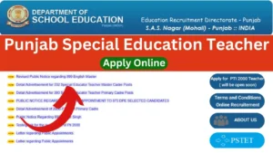 Punjab Special Education Teacher Recruitment 2025 Apply Online 725 Post