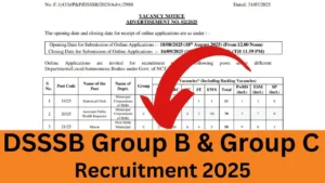DSSSB Vacancy 2025 {615 Post} Eligibility, Fee, Last Date, Apply Online