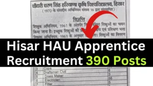 Hisar HAU Apprentice Recruitment 2025 {390 Post} Apply Online