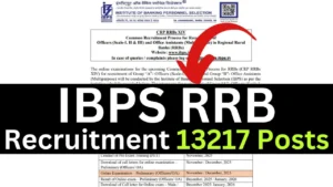 IBPS RRB Recruitment 2025 {13217 Post} Apply Online