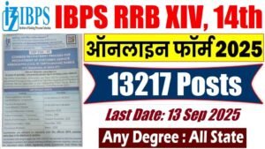 IBPS RRB XIII 13217 Officer Scale-I, II, III Online Form 2025 – Punjab Job Vacancy