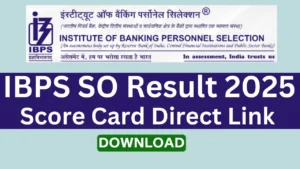 IBPS Specialist Officer SO Result