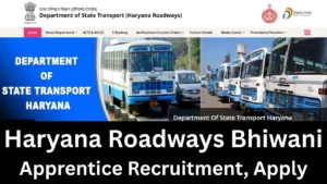 Haryana Roadways Bhiwani Apprentice Recruitment 2025 Apply Online